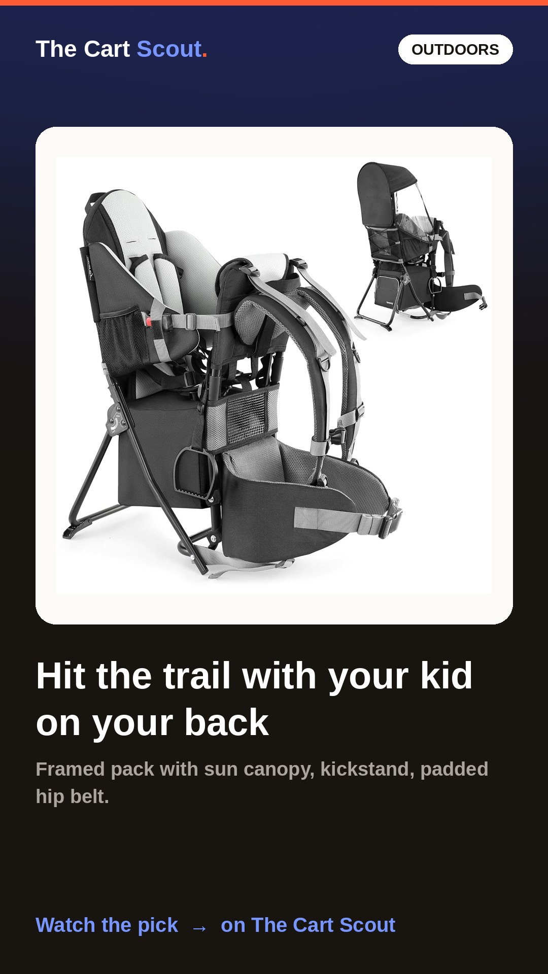 Baby Backpack Hiking Carrier with Canopy