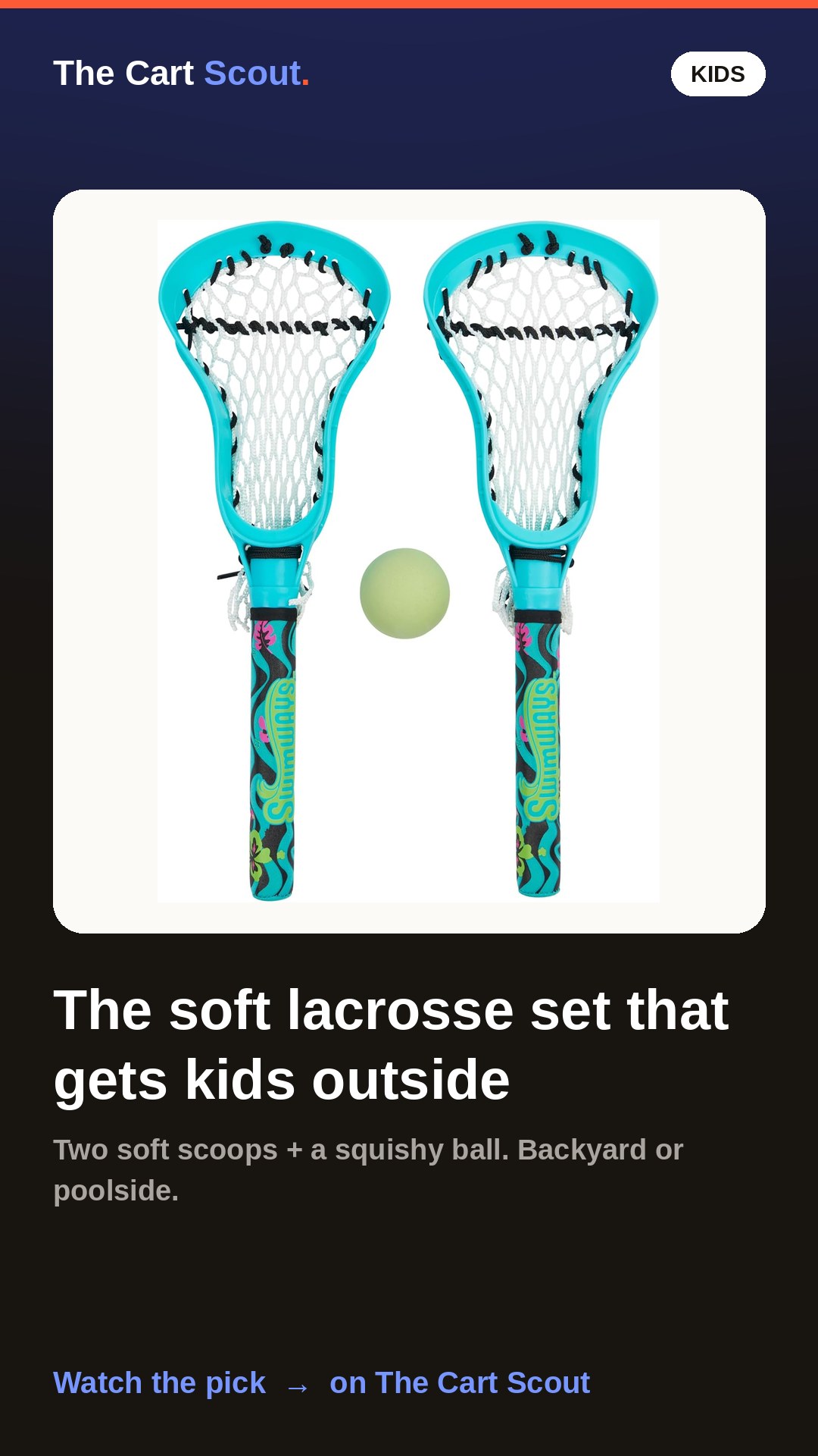 Swimways Lacrosse Set